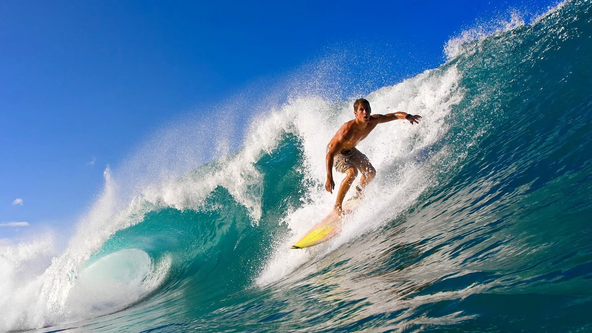 开云体育入口-未来属于热爱篮球的中国少年，未来属于热爱篮球的中国少年有哪些